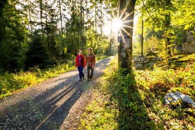 Neuer Rad- und Wanderführer: „In Dobel und um Dobel herum - Dein Outdoorabenteuer mit Wanderschuhen oder Fahrrad"